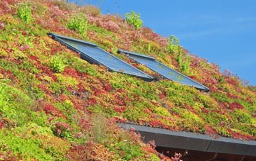 Throcking living roof systems
